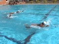 Kpa 2008 swimming competition kpa mysorempg
