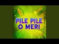 Pile Pile O Meri-Unplug