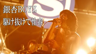 【生配信ライブ開催記念】銀杏BOYZ / 駆け抜けて性春 in SWEET LOVE SHOWER 2017