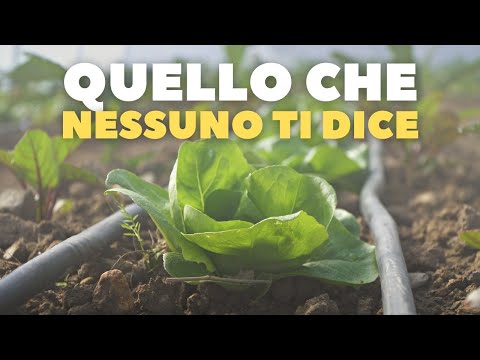 Video: Elenco forniture per serre - Articoli importanti per il giardinaggio in serra