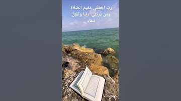 اواخر سورة البقرة(سعد الغامدي)