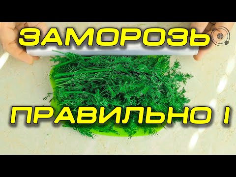 Заморозка зелени на зиму. Это быстрее и проще чем ты думаешь!