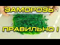 Заморозка зелени на зиму. Это быстрее и проще чем ты думаешь!