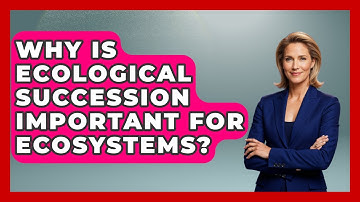 Why Is Ecological Succession Important For Ecosystems? - Explaining Ecology
