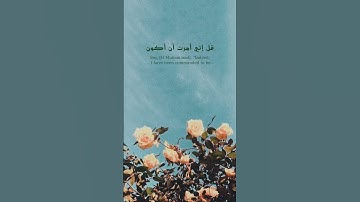 ﴿ قُلْ أَغَيْرَ اللَّهِ أَتَّخِذُ وَلِيًّا ﴾ | محمد ايوب - سورة "الأنعام" ﴿ ١٤ ﴾ #شاشه_سوداء #quran