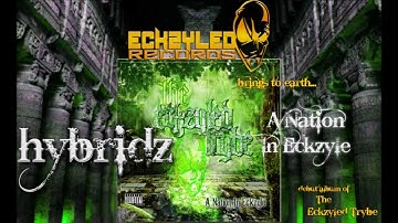 Eckzyled Trybe - Hybridz