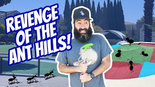 So Many Ant Hills on this Mini Golf Course!
