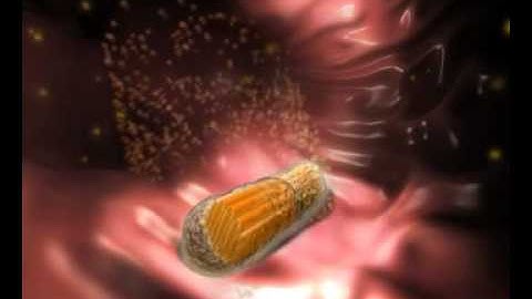 Intec Pharma - Drug Delivery system, produced by Virtual Point