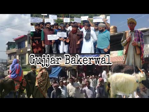 Gujjar Mandi Rajouri ||Huge protest ||Gujjar Bakerwal ||ST issue ...