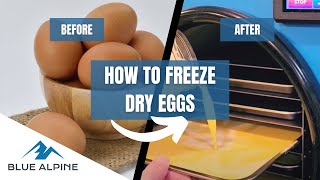 Freeze Drying Eggs