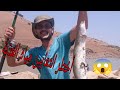 أكبر ثعابين المياه العذبة نون و الانقليس من أجمل الخرجات الليل و المعانات 