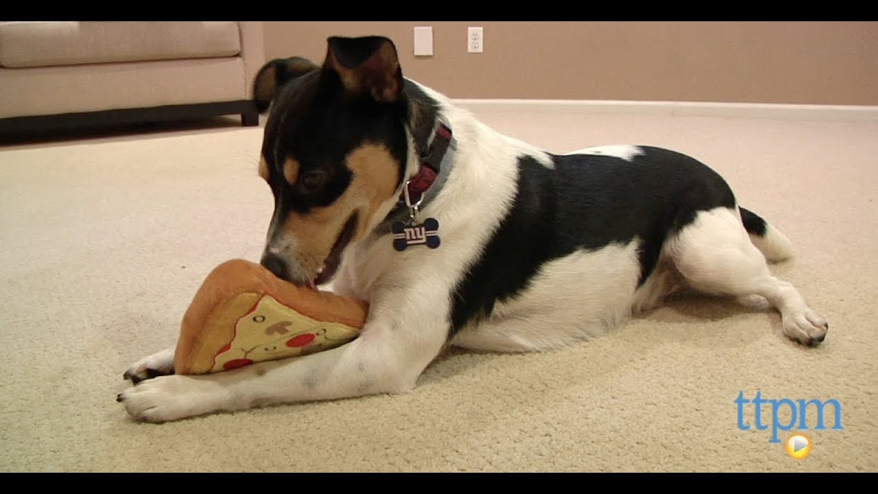 Pizza Slice from PrideBites