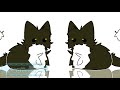 maxwell cat🐱//animation meme