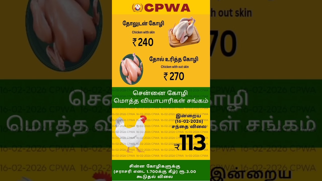 chennai chicken rate | today chicken rate