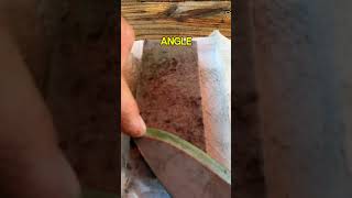 #howto stone #sharpening #knives cutlery sharpen camp bushcraft fun shorts