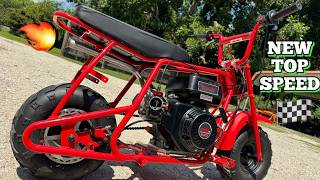 PREDATOR 212 STAGE 2 BUILD RIPS!! | TOP SPEED TESTING