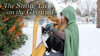 The Snow Lay on the Ground  Celtic Harp for Cats