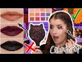 COLOURPOP x HOCUS POCUS COLLECTION 2021 🕸 SWATCHES + 2 LOOKS!