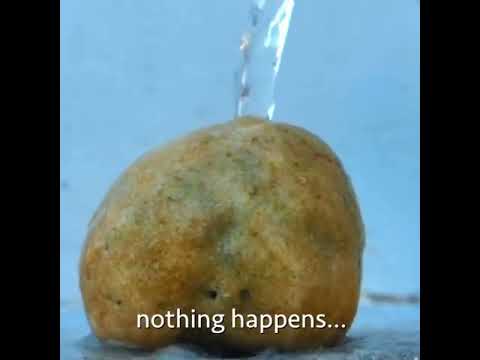 What Will Happen If You Pour Water On A Rock
