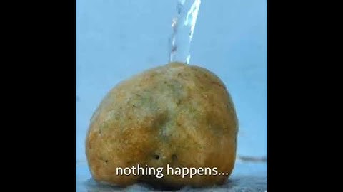 what will happen if you pour water on a rock