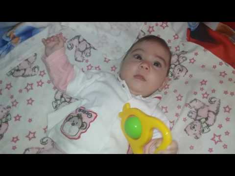 ლილე 6 თვის