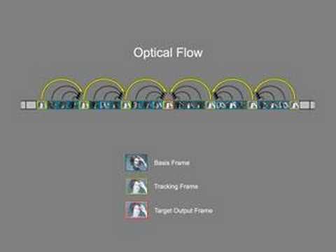 Performance Relighting and Reflectance Transformat...