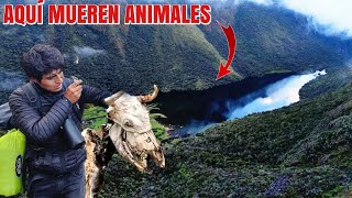 La LAGUNA MÁS PELIGROSA del Perú donde MUEREN muchos animales