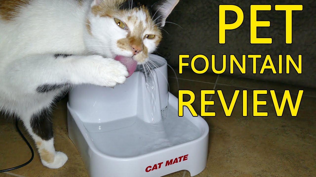 Cat Mate Water Fountain Review