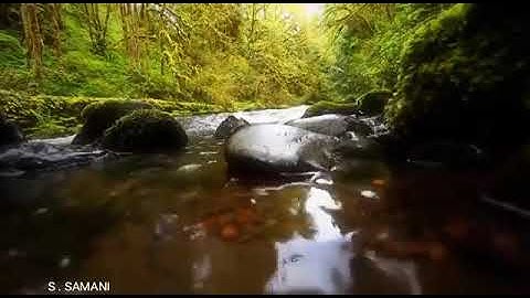 الشيخ عبدالله بن حمد الموسى ، جامع الشيخ صالح العبداللطيف، حي العارض بالرياض ، آيات من سورة الشورى