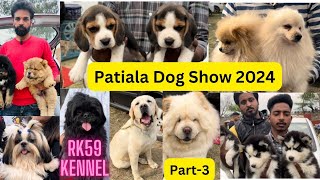 Cheapest Puppy Market In Patiala Punjab 2024  Part3 #Dogshow2024