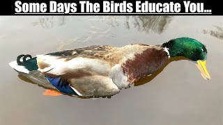 Duck Hunting 2018 - A Learning Experience Duck Hunting 2018 - A Learning Experience