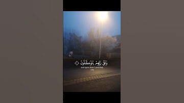 تلاوة خاشعة للشيخ#عبد_ الولي_ الاركاني.صفات المؤمنين الحقيقيين كما وصفهم الله في كتابه#سورة_الأنفال