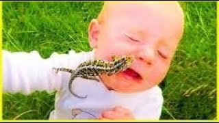 Funniest Moments Baby Meet Animals #3 - FUNNY BABY