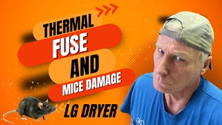 How to Repair an LG Dryer: Fixing Rodent Damage & Replacing Thermal Fuse