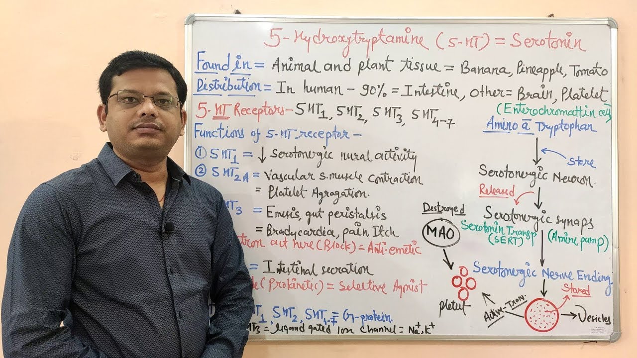 Serotonin Receptor | 5-Hydroxytryptamine | 5-HT | Serotonin (Part 01)- Introduction & Types