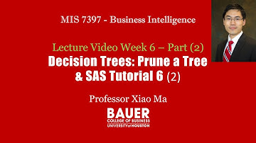 [MIS7397 Predictive Analytics] Lecture Video 6 & SAS Tutorial 6 (Part 2) - Pruning a tree | Bauer@UH