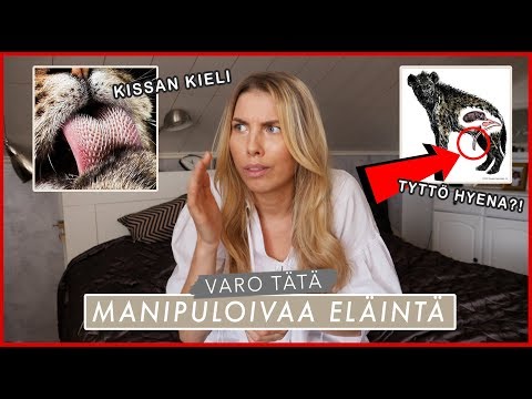 Video: Eläimet Syövät Outoja Asioita