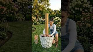 Wait For The Magical Flower Time-Lapse! 🌸🕰️ #shorts #oddlysatisfying #garden