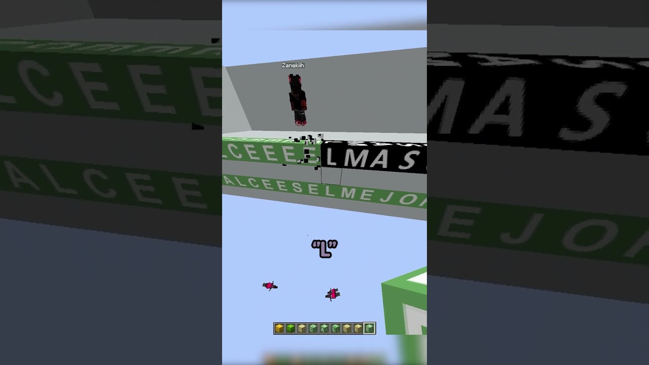 Adivina la palabra LARGO Zaneki Vs Xiaro #minecraft #shorts