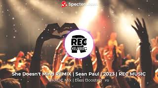 She Doesnt Mind Remix Sean Paul Grade Mix 2023 Rec Music