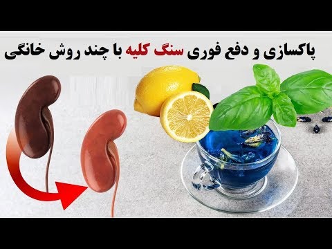 تصویری: دستگاه ادراری / سنگ کلیه (سیستین) در گربه ها