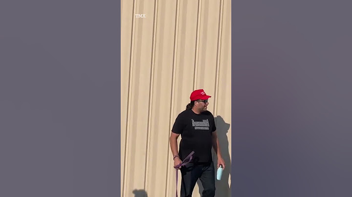 Moment rally goers notice shooter on roof as he tried to assassinate Donald Trump