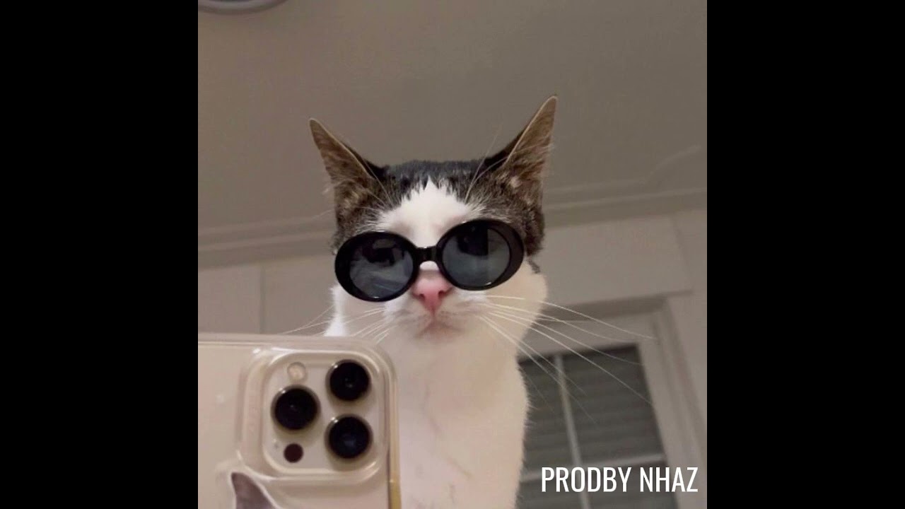 [FREE] Lil tecca - cat type beat - Out of Meow (prodby 