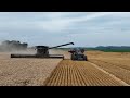 Fendt Ideal combine VS Wheat