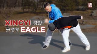 Devastating Eagle Kung-Fu - Xingyi Eagle Shape Applications #xingyiquan #eagles