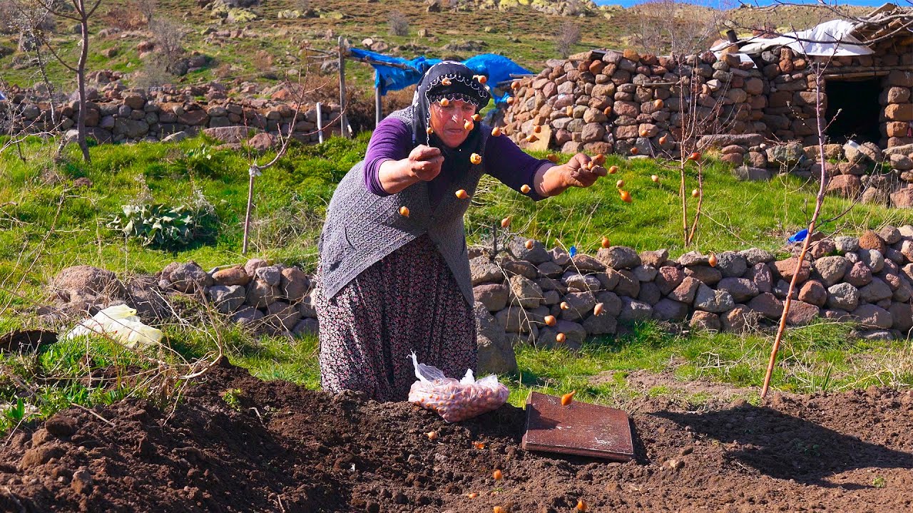 Мы посадили наш сад в горах - Кукурузный хлеб в печи