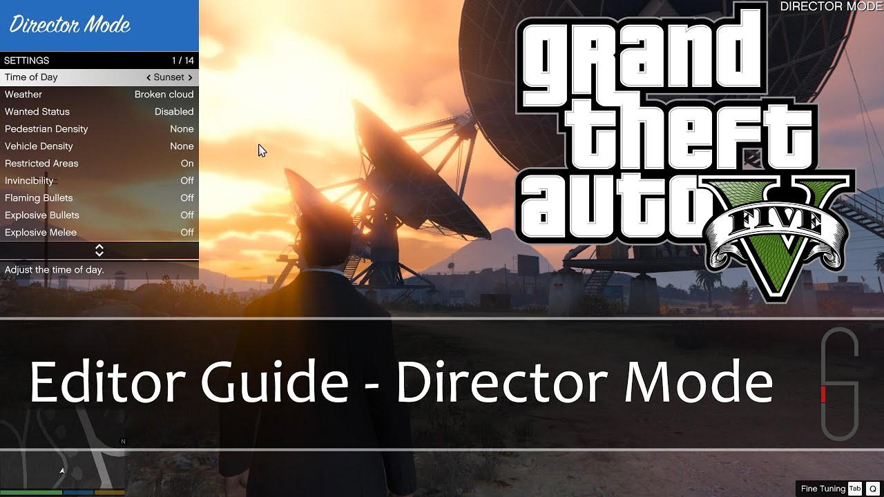 gta 5 director mode number