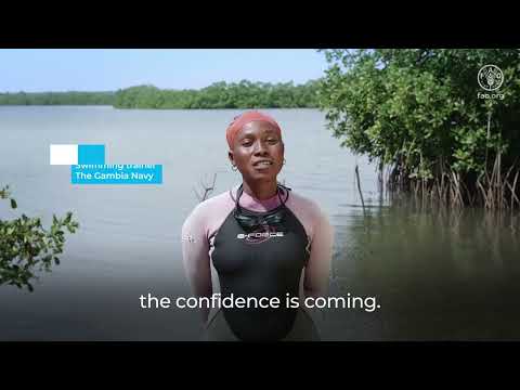 Teaching Gambian oyster harvesters how to swim