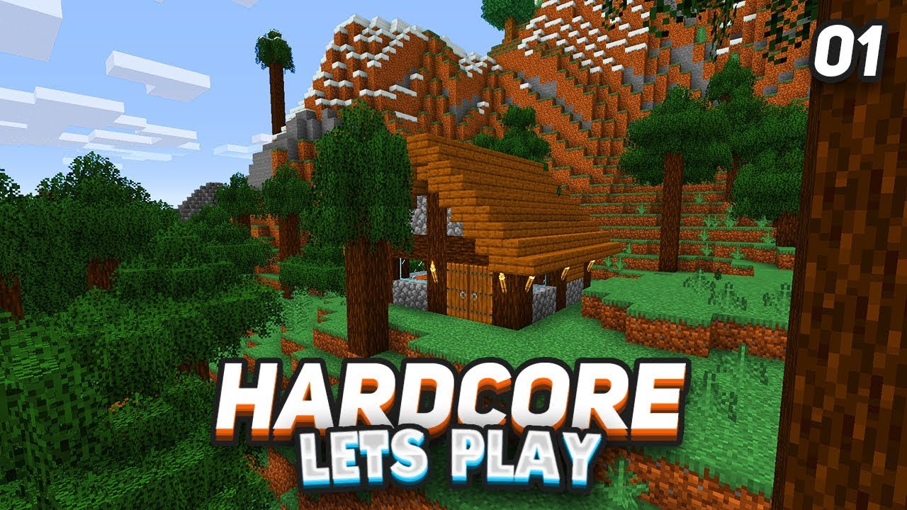 Something again Minecraft. Hardcore 14