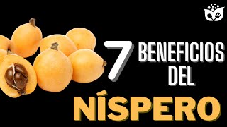 🌟 Los 7 Increíbles Beneficios del NÍSPERO para Tu Salud que Debes Conocer 🌟
